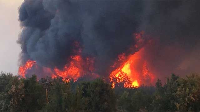 A wildfire burning in Arizona crossed over the Colorado River into California. (Source: San Bernardino County Fire District)