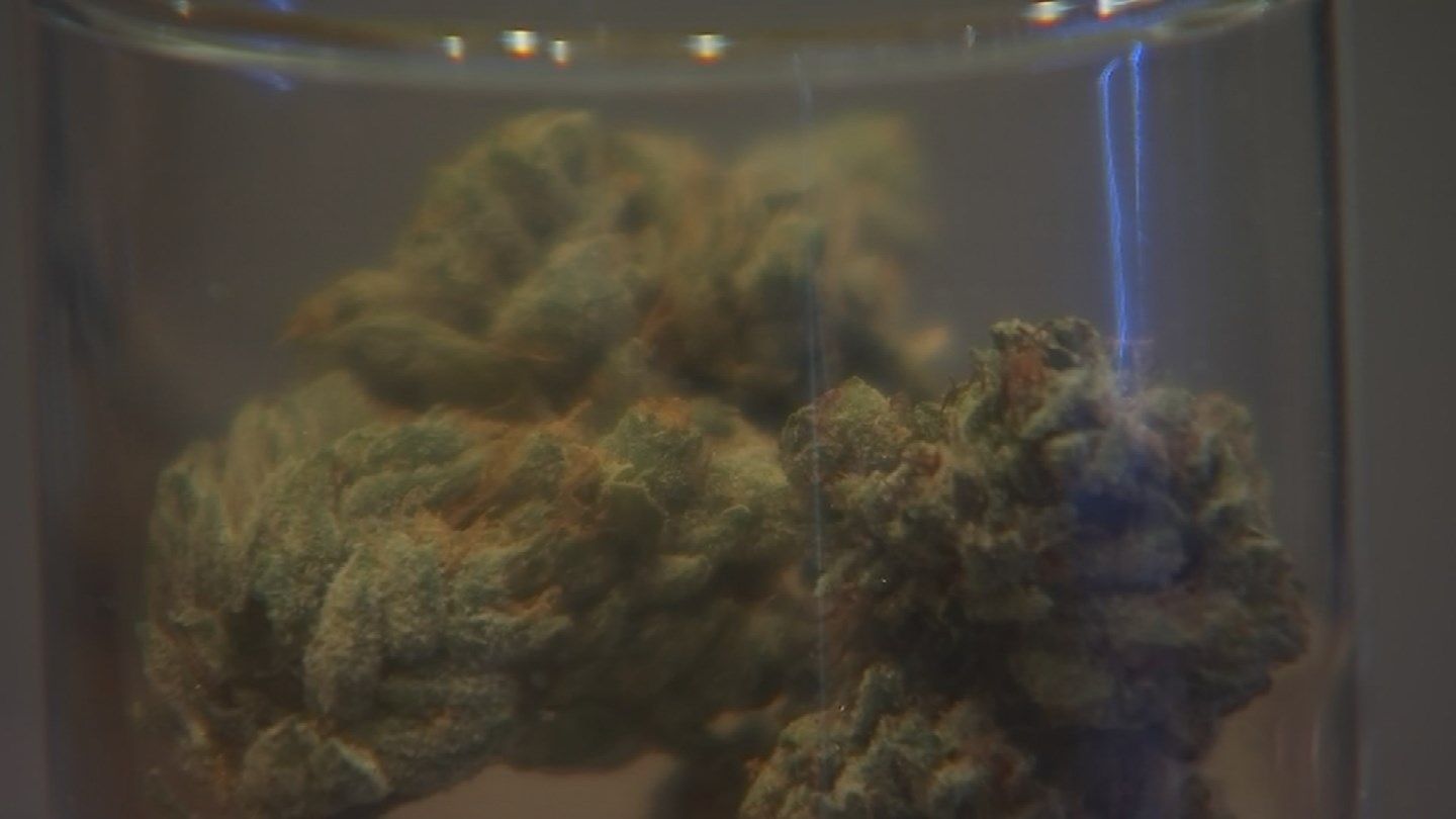 Efforts are underway to halt efforts to legalize recreational marijuana in Arizona (Source: KPHO/KTVK)