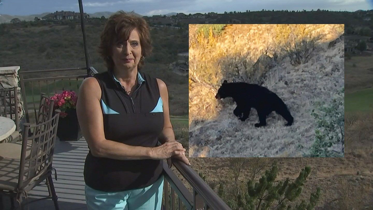 Woman encounters bear at her Prescott Lakes home Arizona's Family