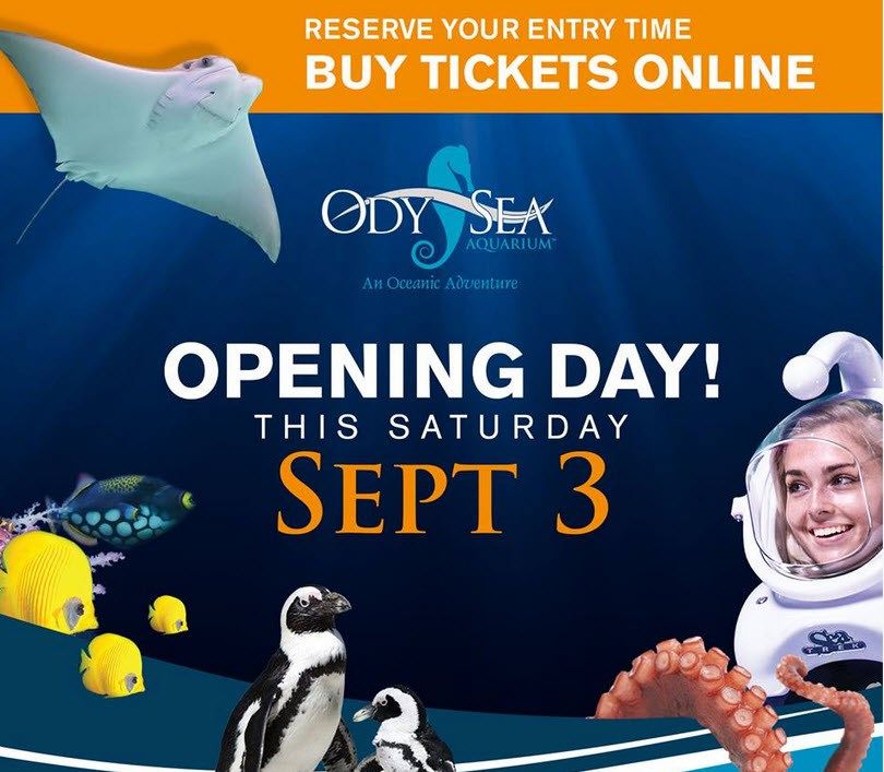 OdySea Aquarium opens its doors Saturday 3TV CBS 5