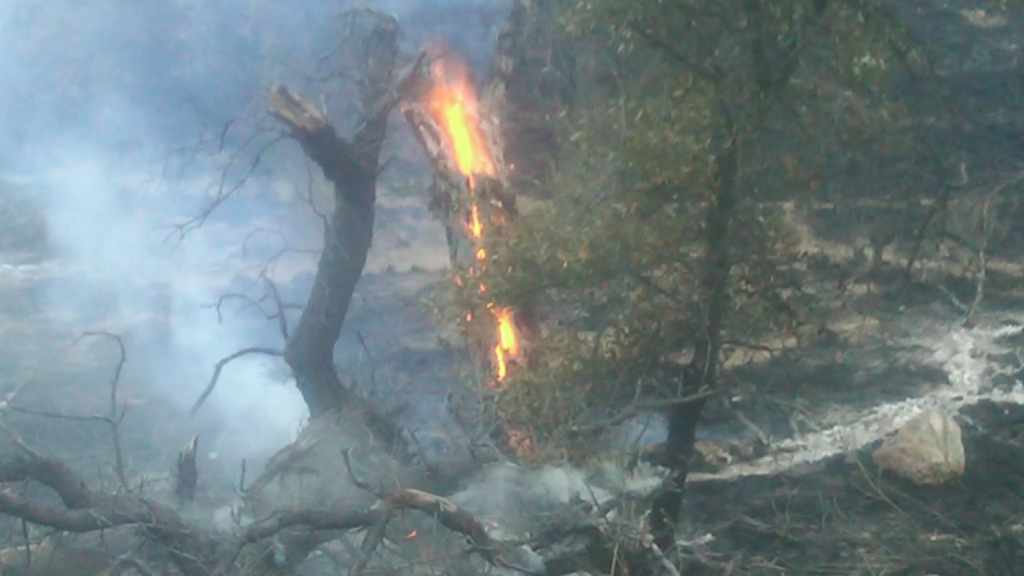 One cattle rancher said there's been five fires on his property near the Arizona-Mexico border in 2016. (Source: KPHO/KTVK)