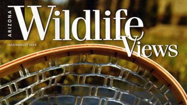 Arizona Wildlife Views magazine announces winners of photo 